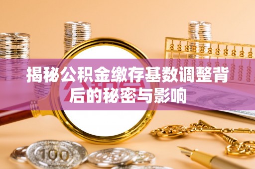 瑞芳揭秘公积金缴存基数调整背后的秘密与影响