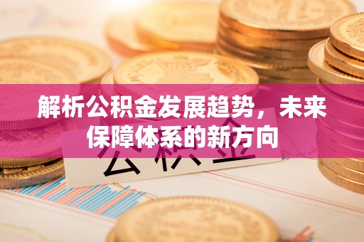 瑞芳解析公积金发展趋势，未来保障体系的新方向