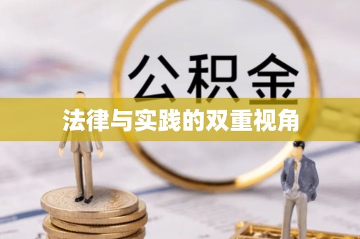 瑞芳法律与实践的双重视角