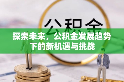 瑞芳探索未来，公积金发展趋势下的新机遇与挑战