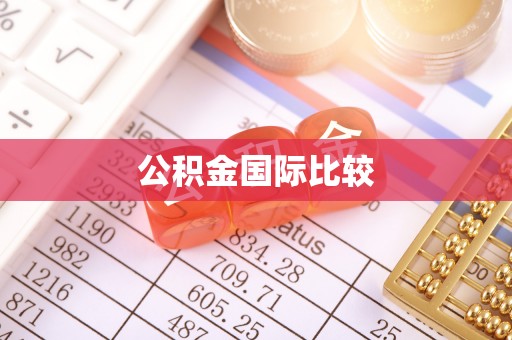 瑞芳公积金国际比较