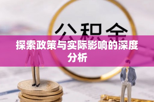 瑞芳探索政策与实际影响的深度分析