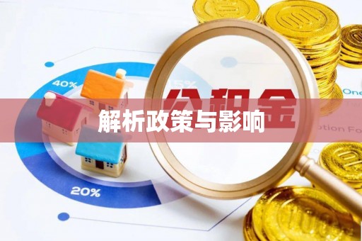 瑞芳解析政策与影响
