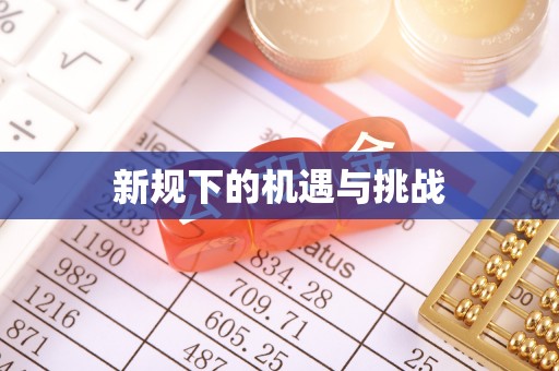瑞芳新规下的机遇与挑战