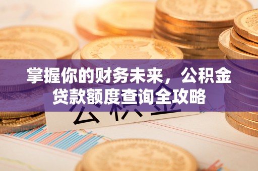 瑞芳掌握你的财务未来，公积金贷款额度查询全攻略