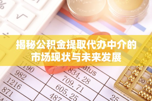 瑞芳揭秘公积金提取代办中介的市场现状与未来发展