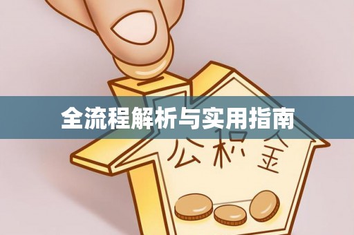 瑞芳全流程解析与实用指南