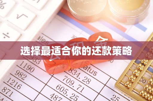 瑞芳选择最适合你的还款策略