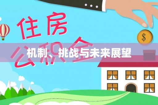 瑞芳机制、挑战与未来展望