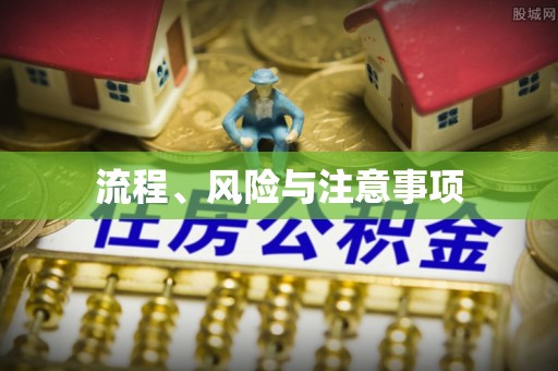 瑞芳流程、风险与注意事项