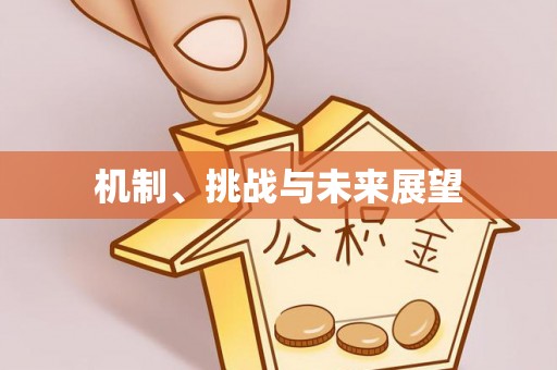 瑞芳机制、挑战与未来展望